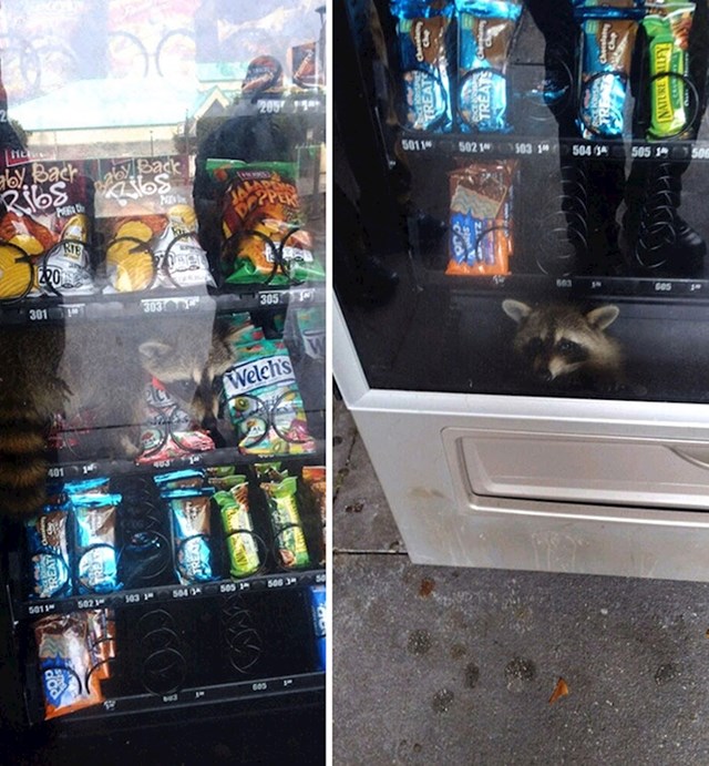 "Ovaj je gospodin uhvaćen danas dok je pljačkao automat u srednjoj školi."