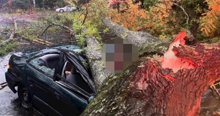 Munja je srušila stablo na automobil, pogledajte koliko sreće u nesreći je imao ovaj čovjek
