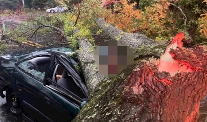 Munja je srušila stablo na automobil, pogledajte koliko sreće u nesreći je imao ovaj čovjek