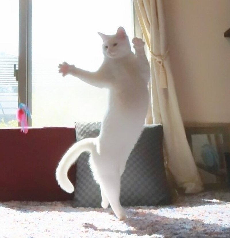 Nevidljivi partner za tango.