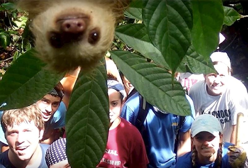 Ovaj ljenjivac nije mogao naći bolji trenutak da se pojavi. :)