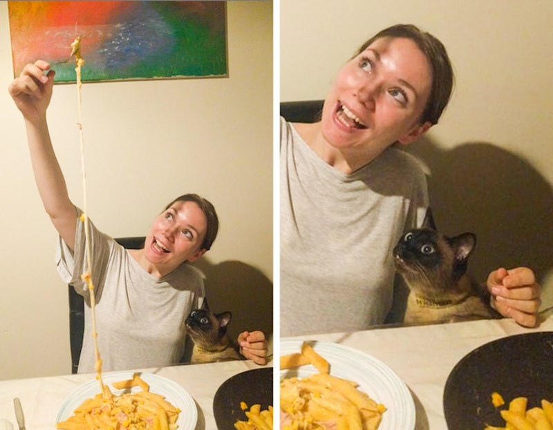 Ova mačka izgleda kao da je vidjela nešto o čemu već dugo sanja!