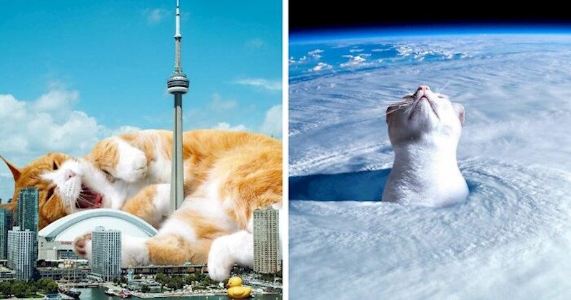 Ovaj umjetnik koristi Photoshop za stvaranje nadrealnih divovskih mačaka