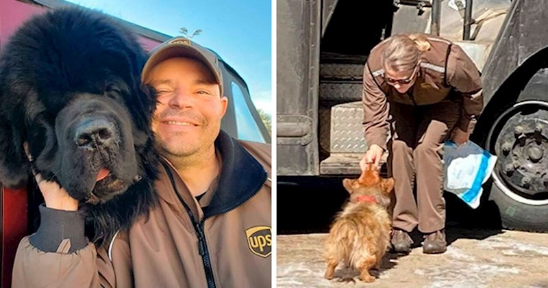 15 fotki dostavljača i njihove najveće sreće na svakodnevnim rutama