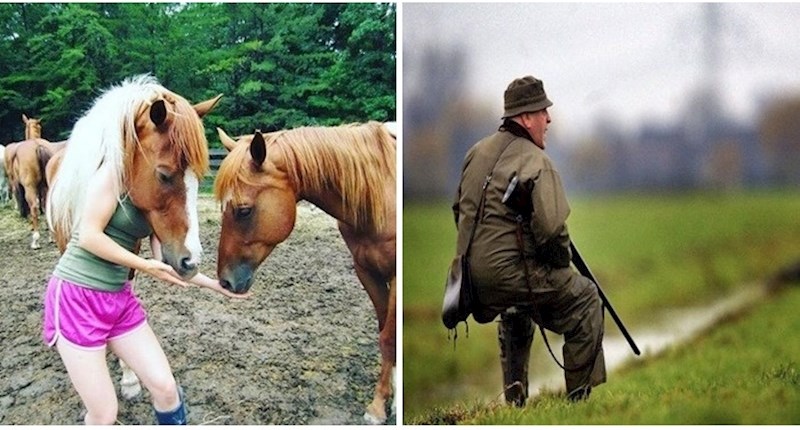 20 fotografija gdje je kut odigrao glavnu ulogu i poigrao se s našim mozgom