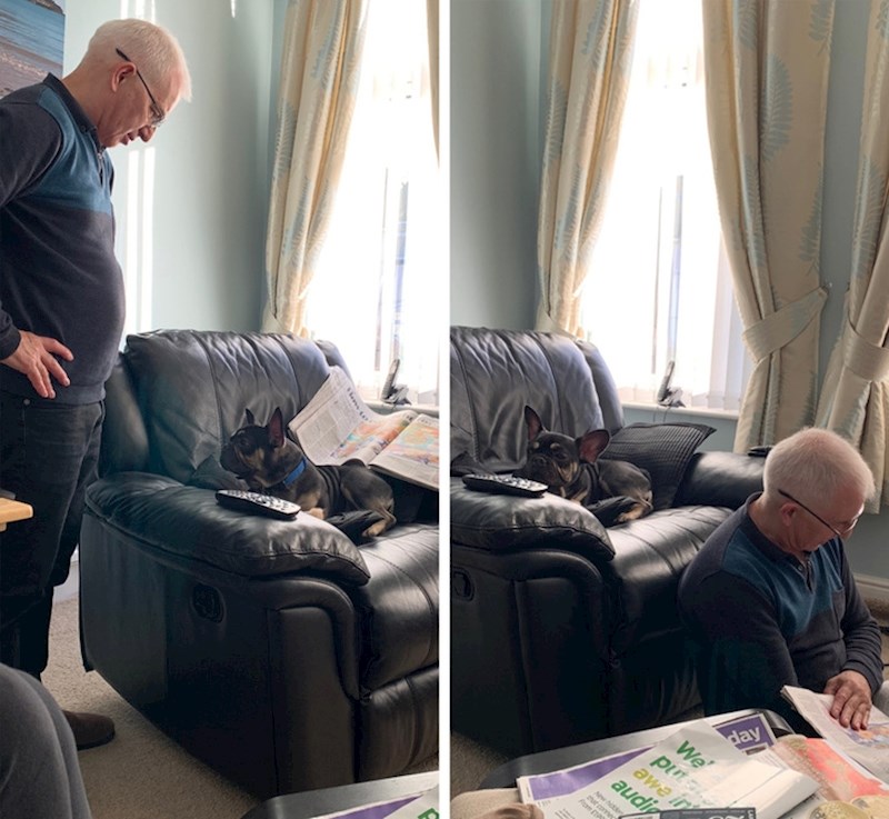 #3 Priča o ljubavi i izdaji: kada vaš pas ima više prava od bilo koga u vašoj kući!