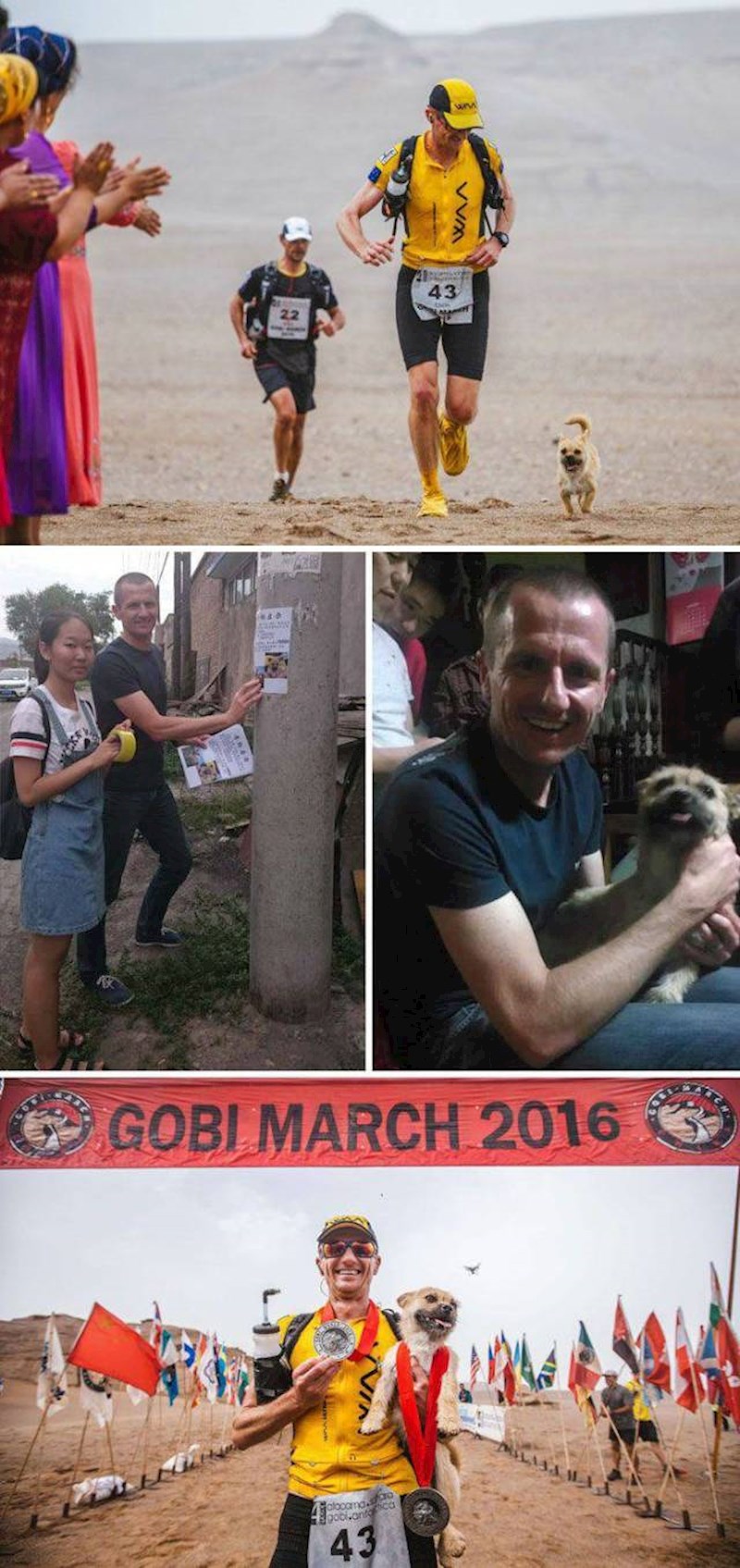 Pas lutalica koji se pridružio trkaču na utrci nestaje pa sportaš leti u Kinu kako bi ga pronašao i odveo kući.