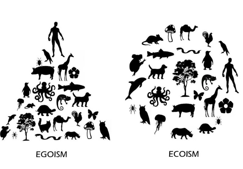 Naše želje imaju prednost nad prirodom.