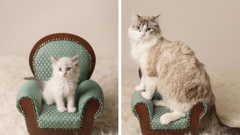 "Jednu godinu kasnije."