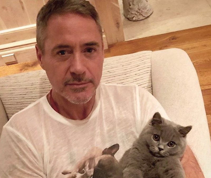 #6 Robert Downey Jr.