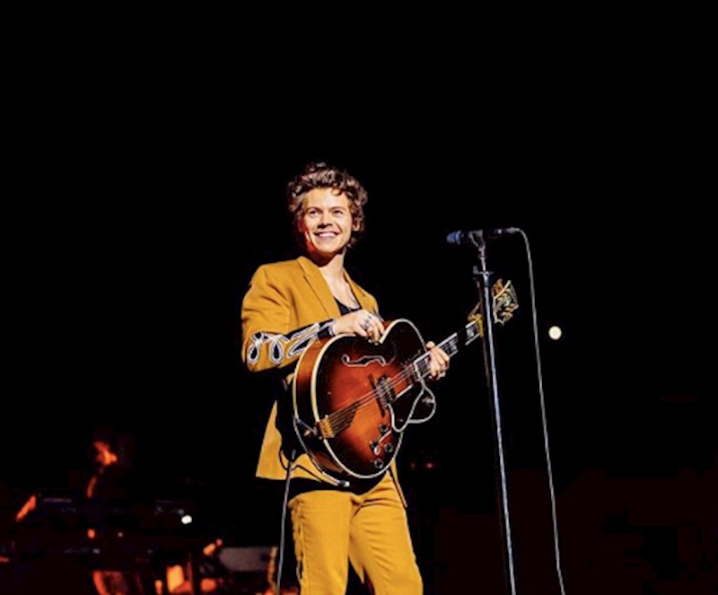 #2 Harry Styles
