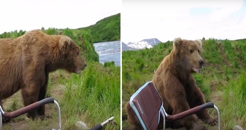 VIDEO Pogledajte kako je završio ovaj bliski susret ribara i medvjeda