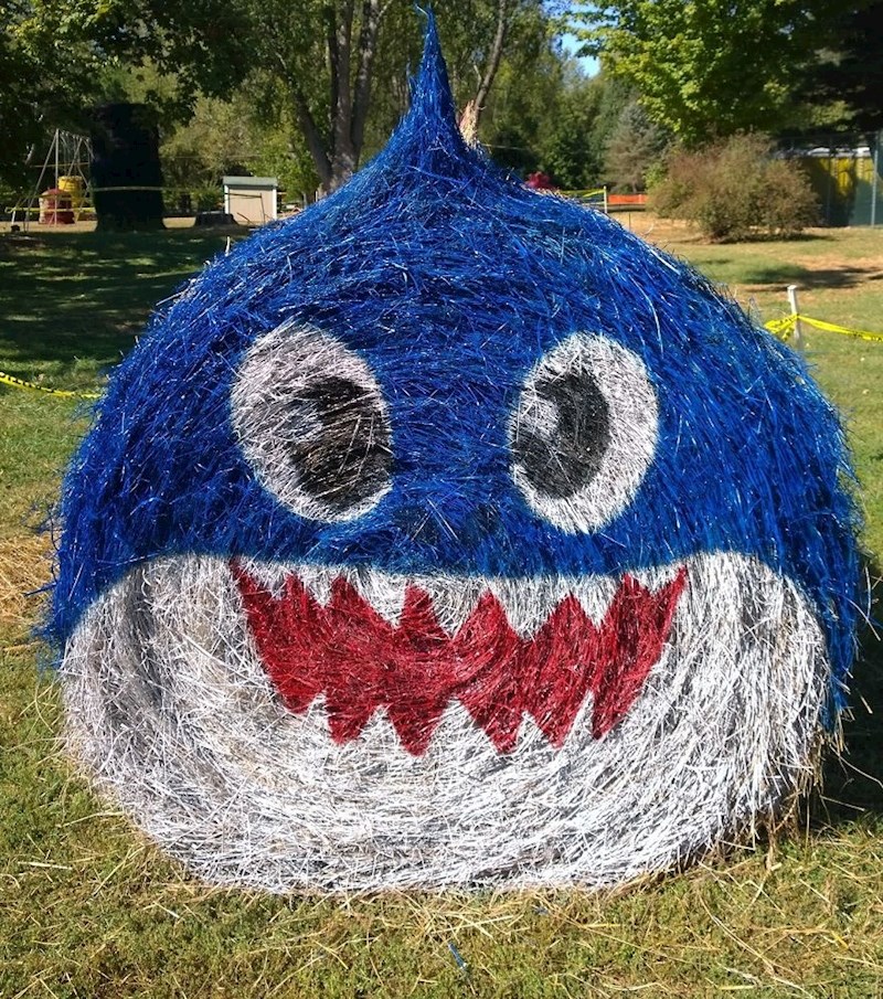 Tata morski pas iz pjesme „Baby Shark Song"