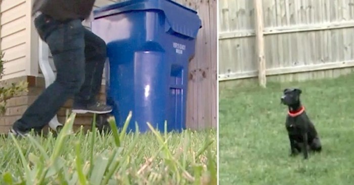 VIDEO Provalnici su htjeli ući u kuću, a onda im je jedan pas pokvario planove