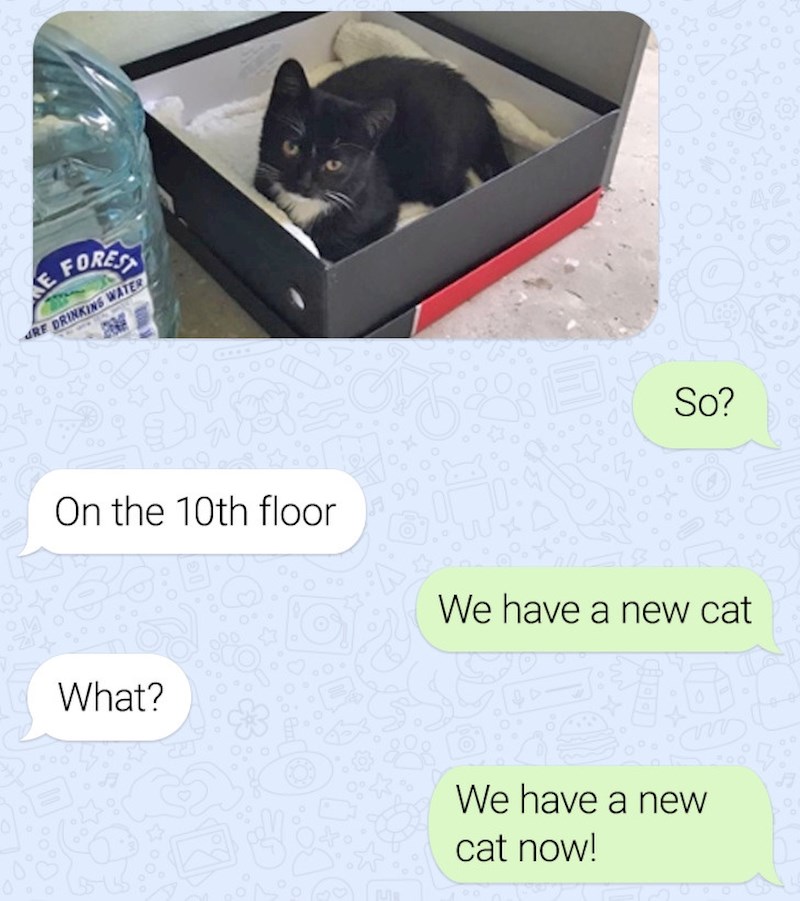 14. Također, znaju se ušunjati u naše domove. Mogu samo sjediti u kutiji i čekati svog novog vlasnika.