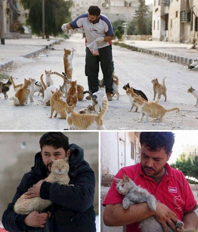Dok su ljudi bježali iz ratom razorenog Alepa, ovaj čovjek ostao je da se brine za napuštene mačke.