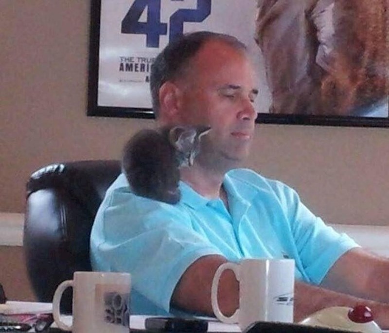 "Kad je Margo bila mačić, najdraže joj je bilo popeti se na moje rame i gledati me kako radim."