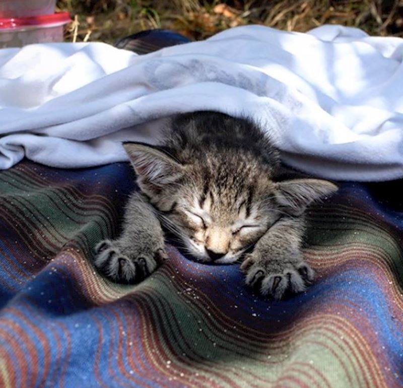 „Kada je izvedem iz vode imam spreman ručnik. Ide direktno na njega. Imam spremnu i bočicu vode koja se malo zagrije na suncu i s kojom ju isperem od soli"