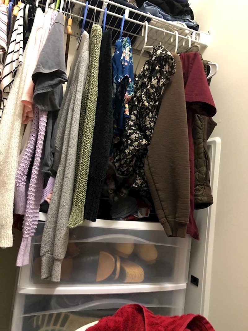 “Moja prijateljica je upravo posvojila malku i izgleda da je našla svoje omiljeno mjesto.”