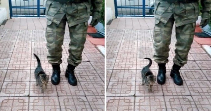 VIDEO Ovaj mačić odrastao je s vojnicima, morate vidjeti kako maršira
