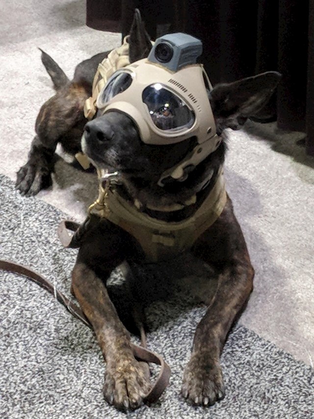 Policijski pas s novom video opremom.
