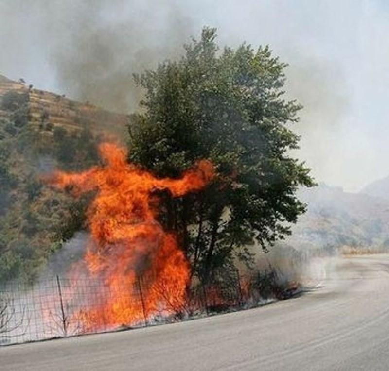 “Danas sam vidio ovu vatru koja pleše.”