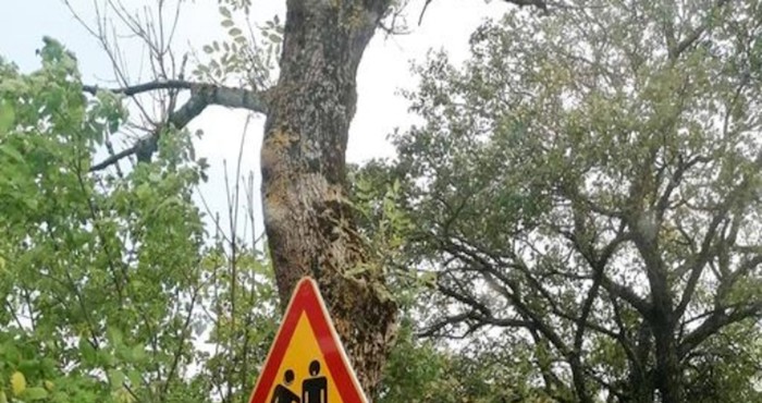 Tisuće ljudi smije se ovom potpuno nejasnom znaku; ovo morate vidjeti!