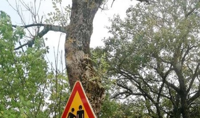 Tisuće ljudi smije se ovom potpuno nejasnom znaku; ovo morate vidjeti!