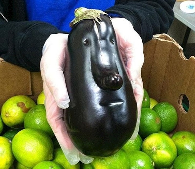 "Našao sam ovaj vrlo čudni patlidžan."