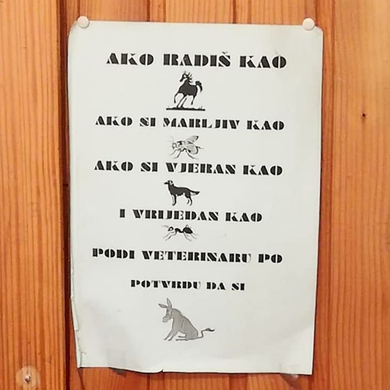 Plemenita životinja. :)