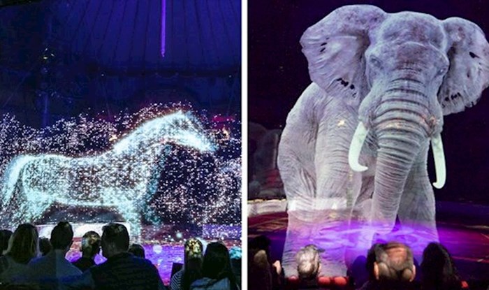 VIDEO Ovaj cirkus koristi holograme umjesto živih životinja za magično iskustvo bez okrutnosti