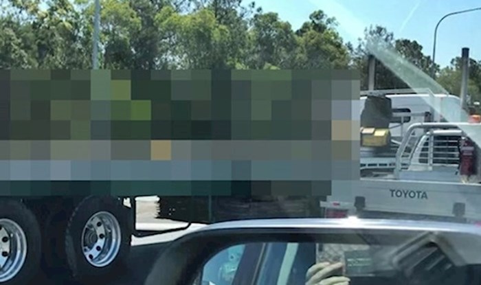VIDEO Vozača je nasmijao kamion kojeg je vidio na cesti, pogledajte kakav je teret prevozio