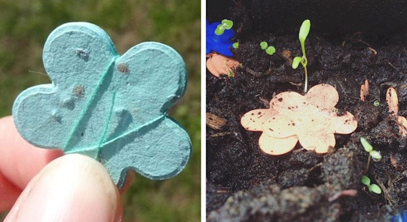 1. Konfeti koji u sebi imaju sjemenke.