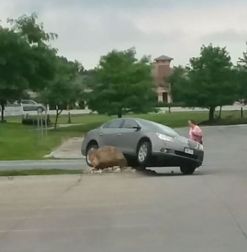 Vučne službe moraju voljeti ovu stijenu..