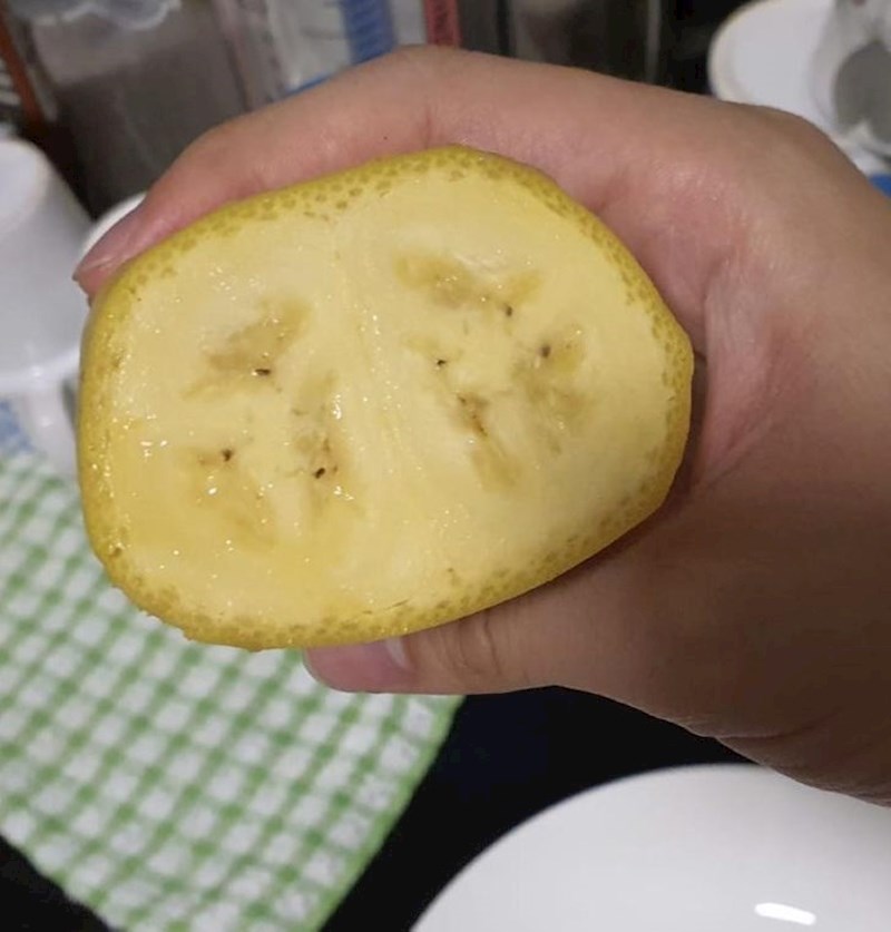 "Ova dupla banana koju sam pronašao."