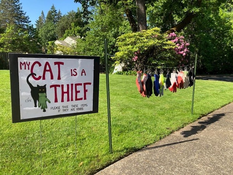 Vrlo čudna opsesija..