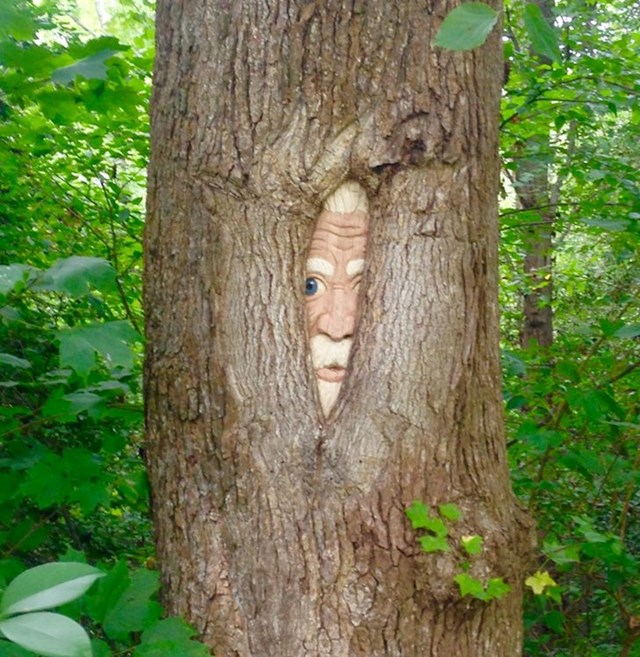 "Moj djed je prije 16 godina urezao 'drvene duhove' u ova stabla. Sada to izgleda ovako."