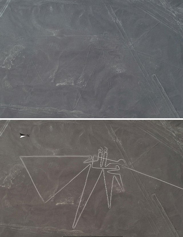 Znanstvenici su otkrili više od 140 novih Nazca linija, uključujući i ovu pticu.