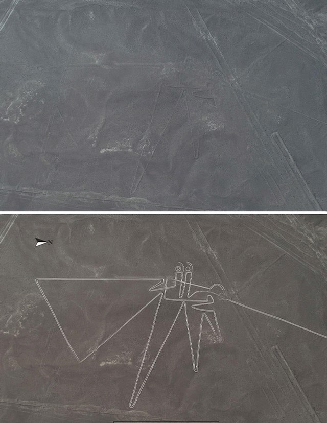 Znanstvenici su otkrili više od 140 novih Nazca linija, uključujući i ovu pticu.