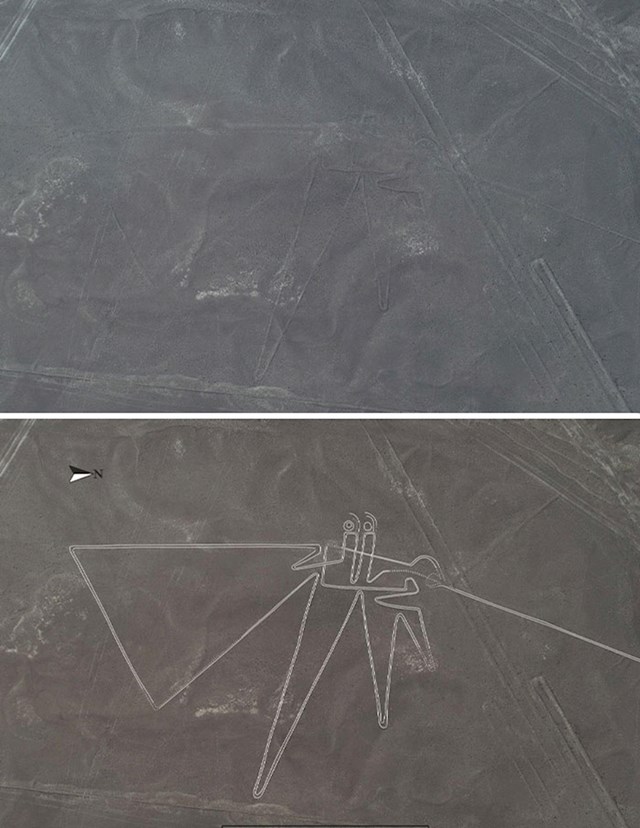 Znanstvenici su otkrili više od 140 novih Nazca linija, uključujući i ovu pticu.