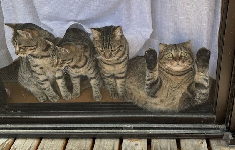 2. Pogodite koja je ona čudna...