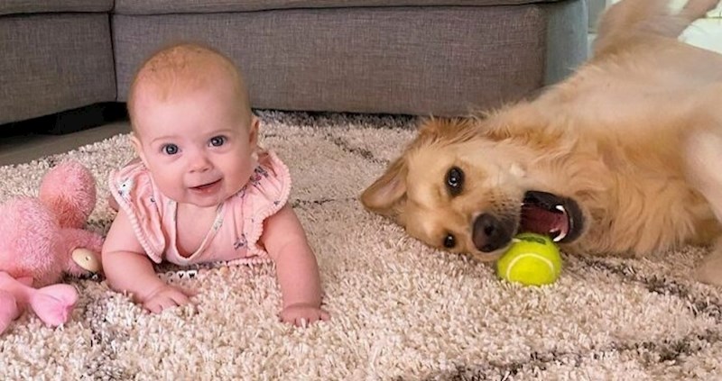 15 fotki koje pokazuju kako izgleda njihova nevjerojatna povezanost