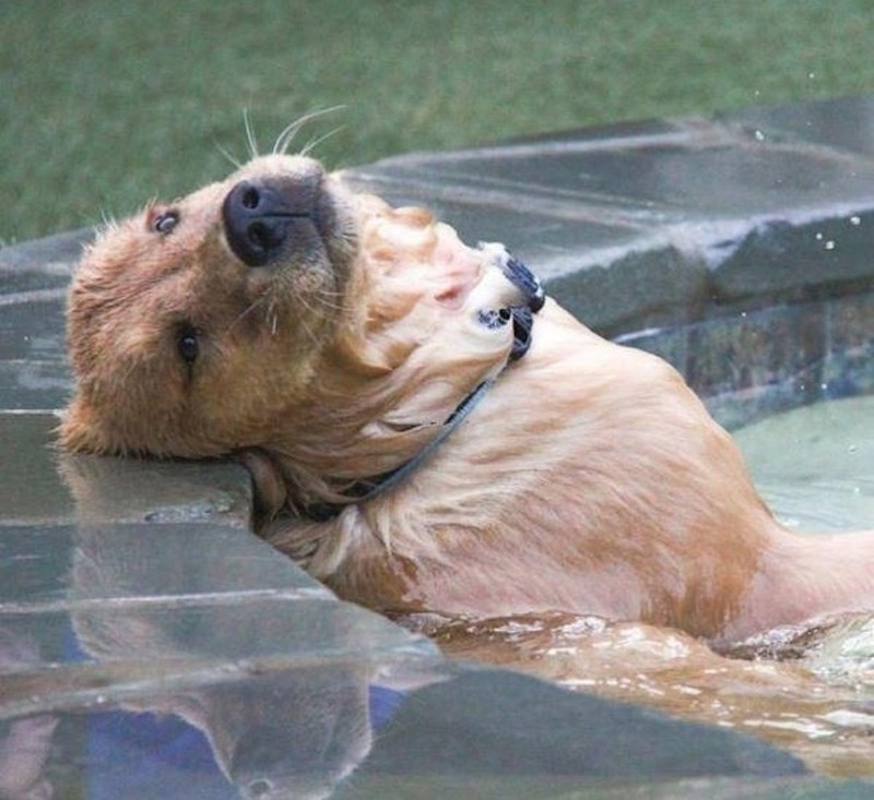 Razmišljajte o najsretnijem trenutku svog dana.