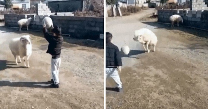 Iznenadit će vas kad vidite kako se njih dvoje dobro zabavljaju