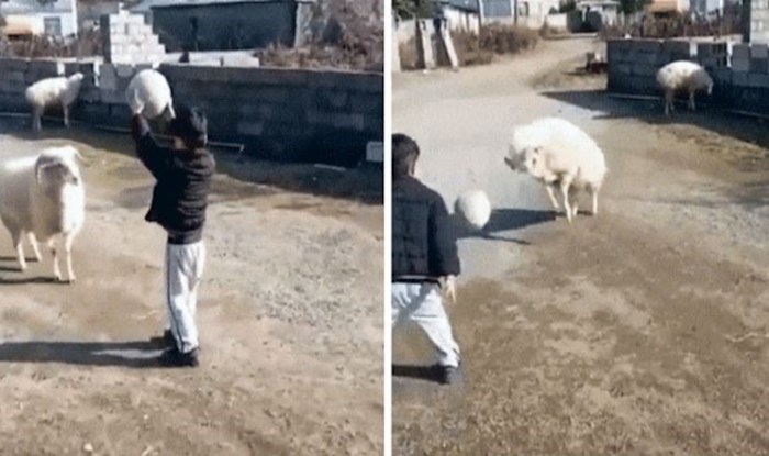 Iznenadit će vas kad vidite kako se njih dvoje dobro zabavljaju