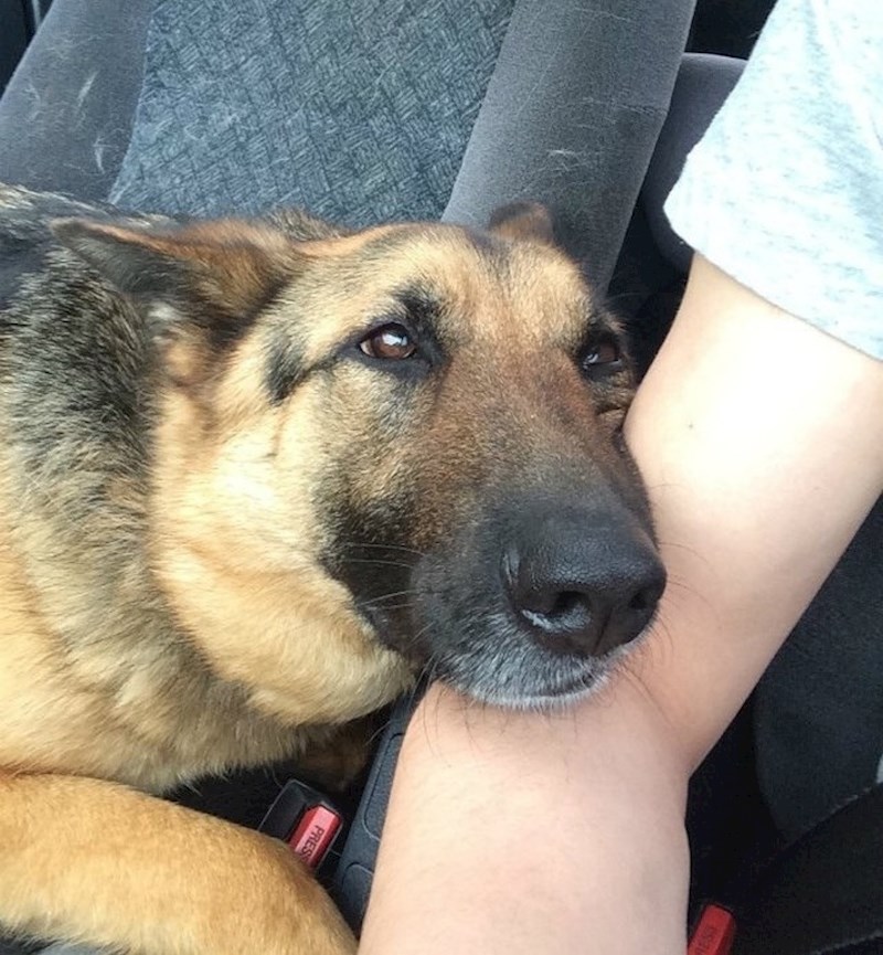 „Hvala ti sto si me poveo sa sobom!"