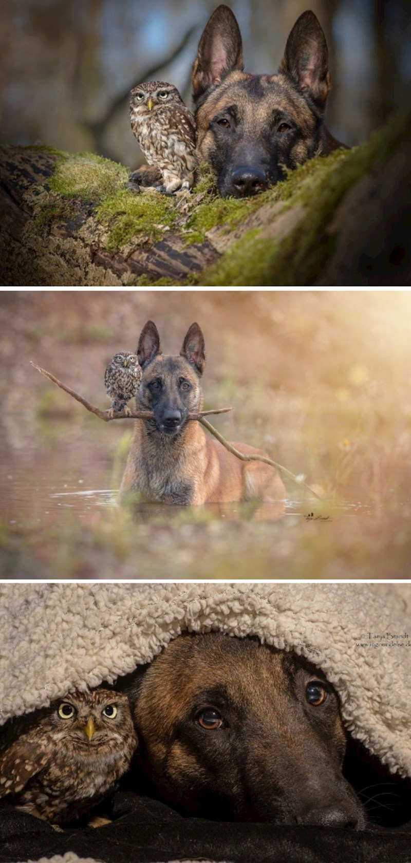 Prekrasno prijateljstvo! :)