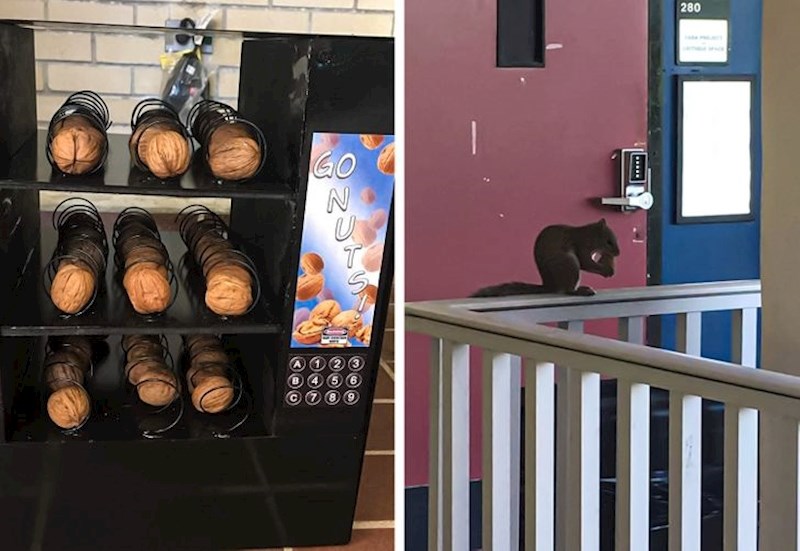 Na automatu se nalazi upozorenje "Može sadržavati orahe".