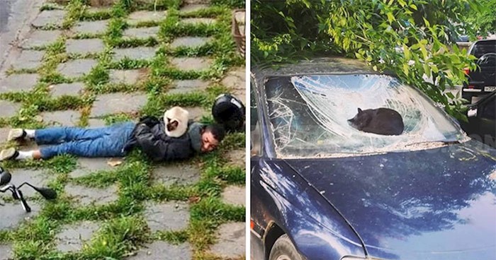 15 mački koje će vas nasmijati mjestima na kojima su se odlučile odmoriti