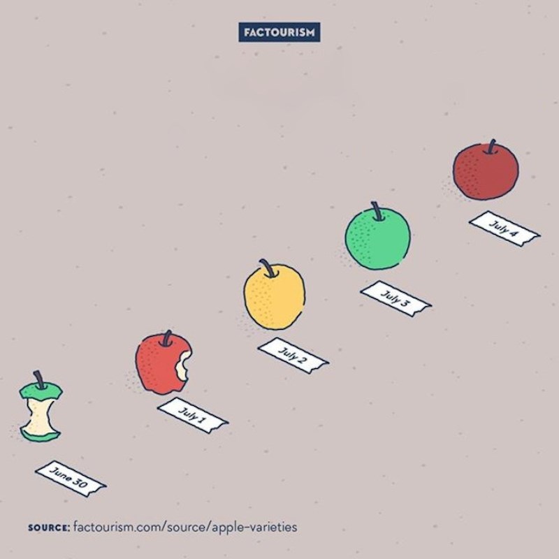 4. Postoji toliko različitih vrsta jabuka da bi vam trebalo 20 godina da sve probate.